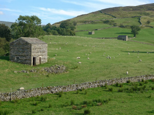 Stone barn, Yorkshire Dales