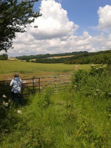 East Yorkshire countryside
