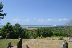 DSC_0890