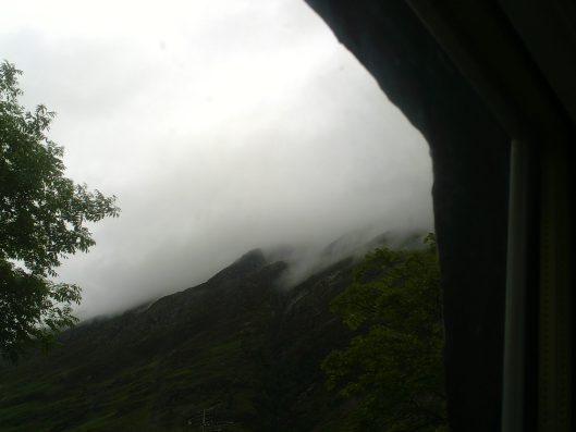 My beautiful picture