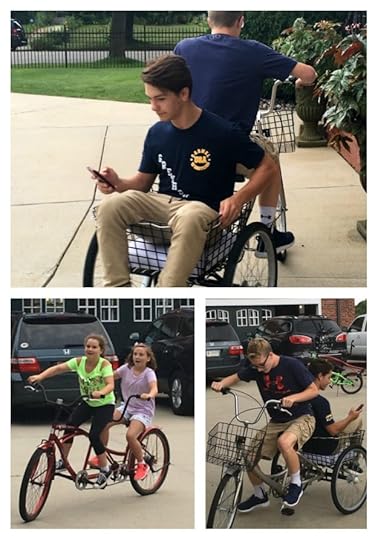 bikes collage