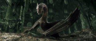 smaug