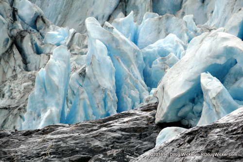 Statues of Ice