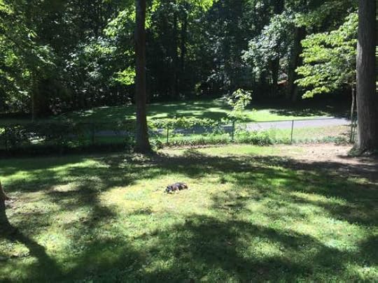 13925317_10157210914160104_2035363922477133580_n