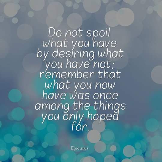  photo 12342773_10208588347011008_3658464674242566522_n_zpskpr6hrqe.jpg