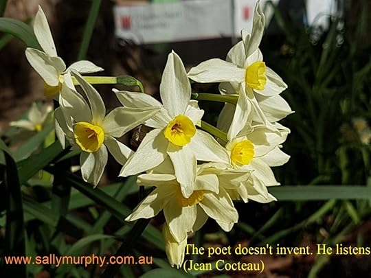 jonquils