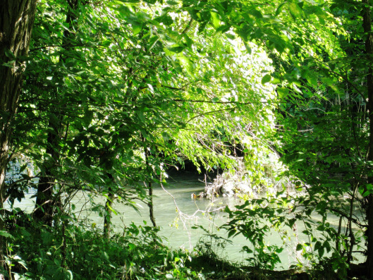 Babbling Brook2