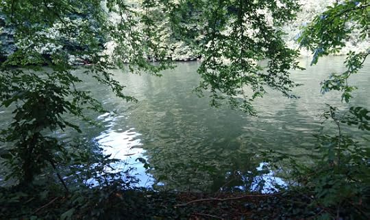 2016-08-07 15.54.32 (2)