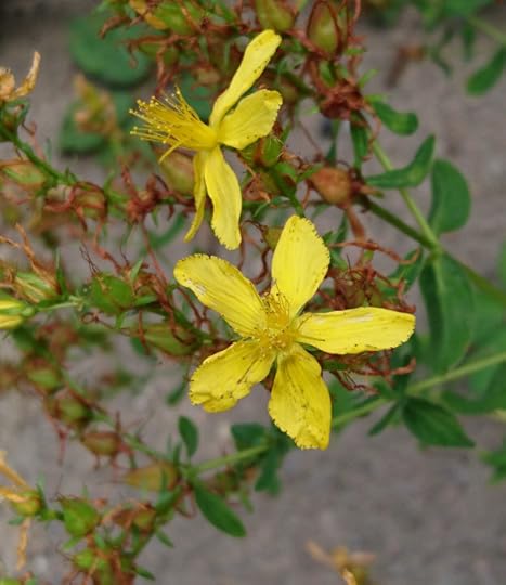 2016-08-07 15.50.55 (2)