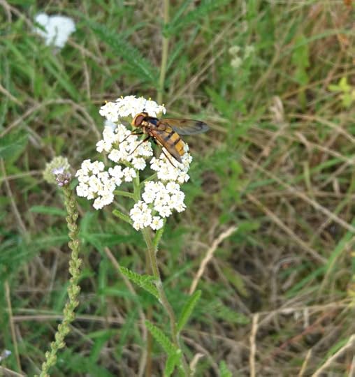 2016-08-07 15.49.45 (2)