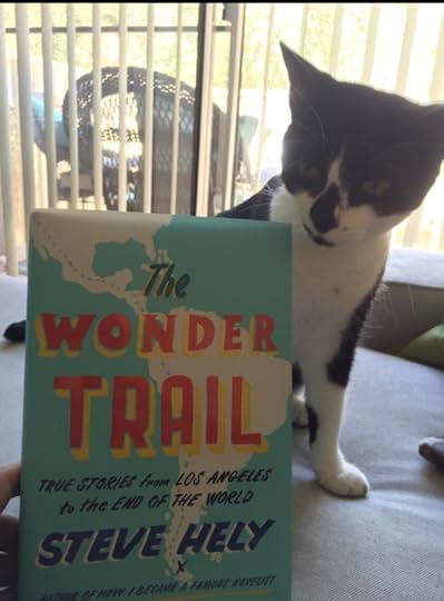 can I haz informative entertainmentz?