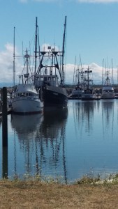 Boats at Illwaco