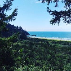 Overlook at Bearded Hallow