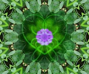 heart as a garden