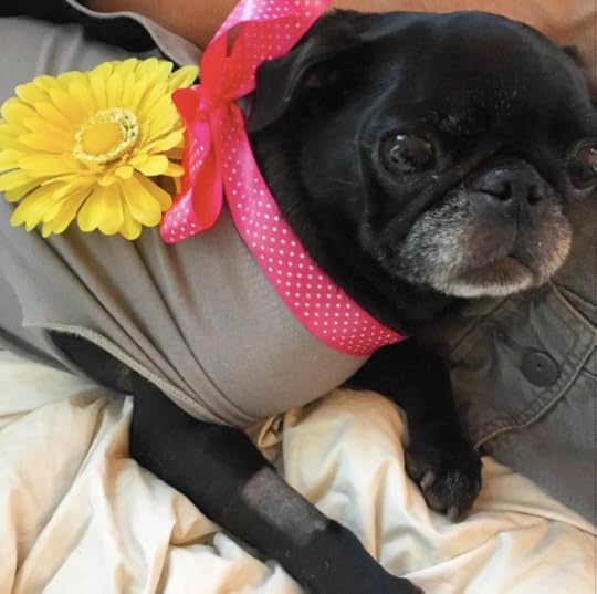 Screen Shot 2016-08-13 at 8.29.17 AM