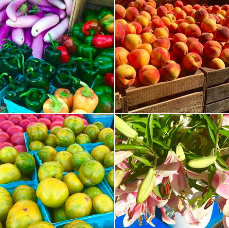 Screen Shot 2016-08-13 at 8.24.48 AM