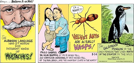The Albanian language has 27 words for different kinds of mustaches! -------------------- Paulo Gabriel Da Silva Barros, at 34.8 inches tall, and Katyucia Hoshino, at 35.2 inches tall, of Ivetapa, Brazil, are the shortest couple in the world! -------------------- Velvet ants are actually wasps! -------------------- The Galapagos penguin is the only penguin that lives north of the equator in the wild. Submitted by Richard Gibson, Lafayette, LA.