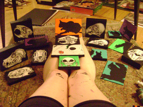 Seventeen of the eighteen 