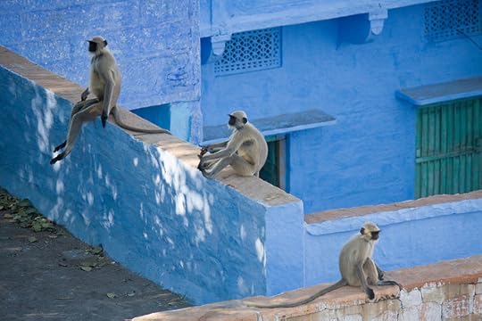 Jodhpur by Garrett Ziegler