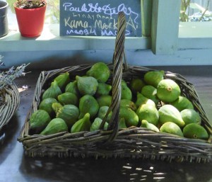FIG BASKETA