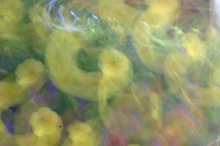 Deliberately abstract photo. | DarcyPattison.com