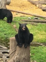 014114ccdd05a3bf248d7b60d8ba5bfce001e95767