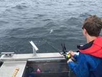 011c27c5cdd4294f8683b4a15ebced1a6921fd9050