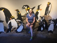 01a208d6ba3551a4660e633183441609be1952f778