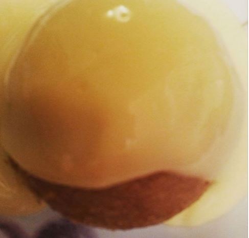 spotted dick