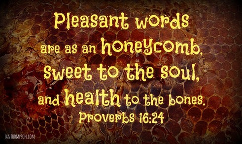 Proverbs 16-24