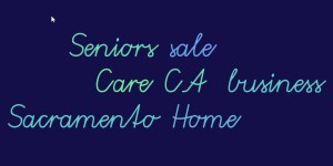 Seniors Home Care business for sale