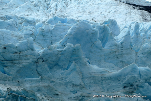 Cold Blue