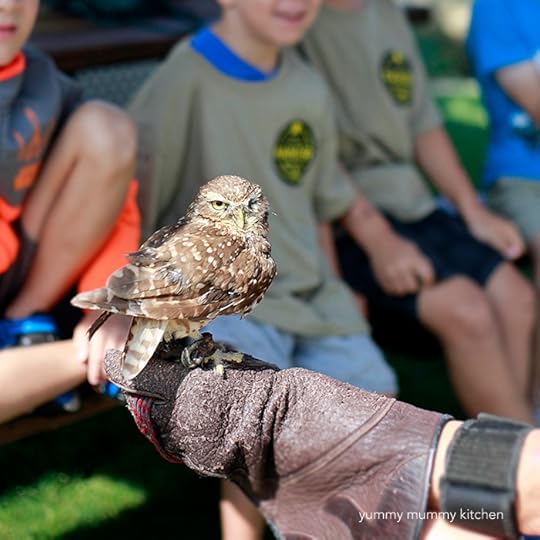 the ranch at laguna beach kids camp