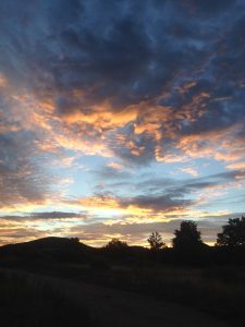 2016-08-11 06.20.19