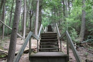 This was one serious stairway. Luckily, we walked DOWN.