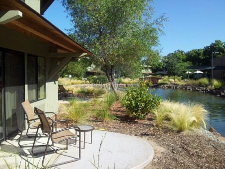 20160808_092930_resized