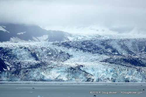 Lamplugh Glacier