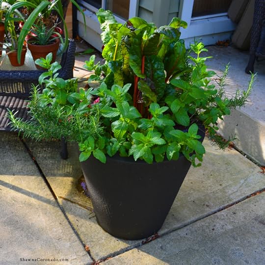 Self Watering Trudrop System with Ornamental Edible plants