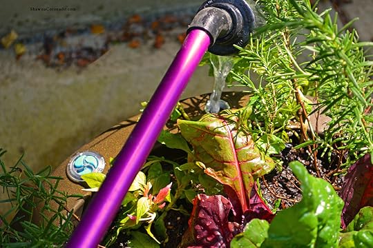 Self Watering Container Garden Trudrip System