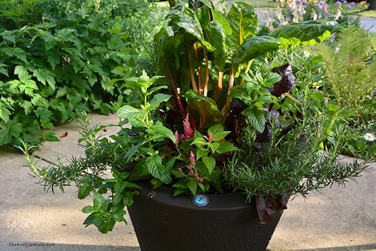 Self Watering Garden Container Trudrop
