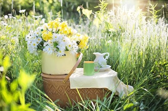 daisies-1466851_960_720