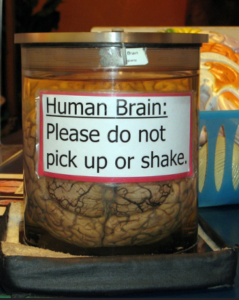 Image via Flickr Creative Commons courtesy of Steve and Shanon Lawson