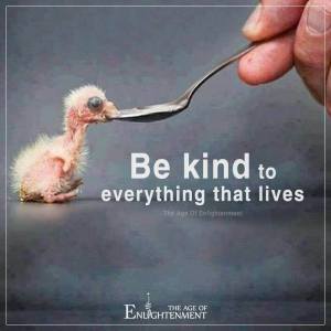 BeKind