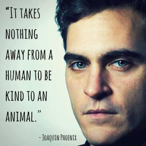 BeKindToAnAnimal