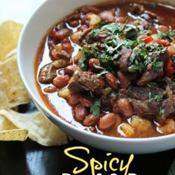 Spicy Beef and Bean Stew Good Cheap Eats PIN