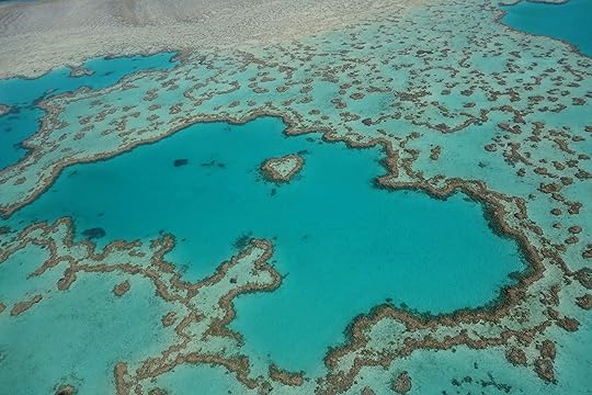 Heart reef