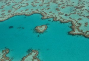 Heart reef 1