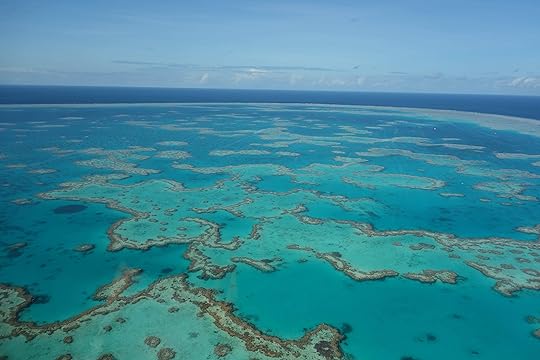 Reef from chopper 1