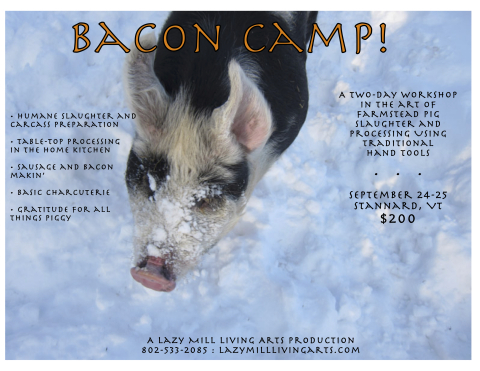 baconcamp