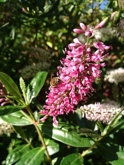 2016-08-09 09.11.01 (2)